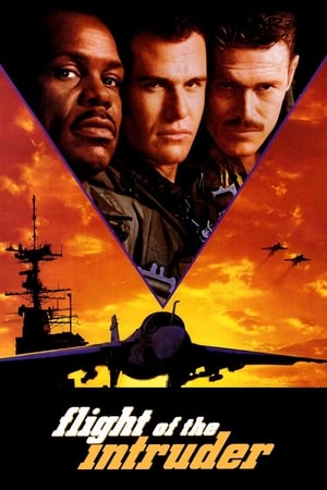 Flight Of The Intruder 1991 Hindi Dubbed 720p