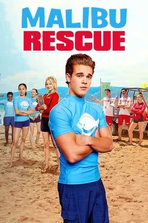 Malibu Rescue (2019) Hindi Dual Audio 720p HDRip [1.4GB]