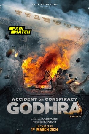 Accident or Conspiracy: Godhra 2024 Hindi 1080p CAMRip