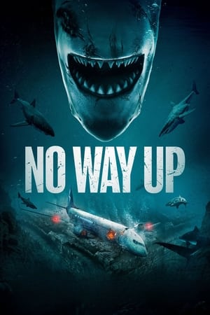 No Way Up 2024 Dual Audio Hindi-English 720p 1080p