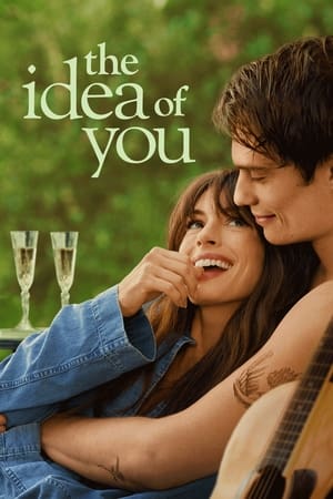 The Idea Of You 2024 Dual Audio Hindi-English 480p 720p 1080p Web-Dl